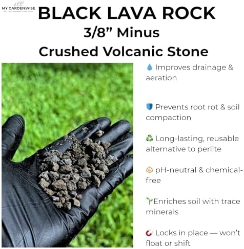 GARDENWISE Lava Rocks for Plants (3/8’’ Minus), Natural Black Lava Rocks, Succulent & Terrarium Horticultural Volcanic Rock, Ideal Drainage for Potted Plants, Made in USA (5 qts - 9 lbs) - Image 3