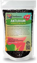 Gardenera Anthurium Potting Soil - Support The Resilience and Growth of Your Plants - 5 QUARTS by Gardenera