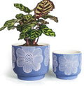 Ceramic Plant Pots, 8+6 Inch, 2 Pcs Indoor Planters with Drainage Holes by YBXYIBOXUAN