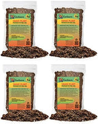 GARDENERA Premium Snake Plant Potting Soil Mix - 10 Quart - Green Sansevieria Trifascatia Zeylanica Plants, Plant or Re-Pot Your Snake Plant (2 Bags of 5 Quart) by Gardenera