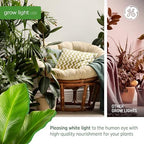 GE Grow Lights for Indoor Plants, BR30 Indoor Floodlight, LED Light Bulbs for Seeds and Greens with Balanced Spectrum, 25,000 Hours Lifespan, 16 PPF, 4 Pack (Packaging May Vary) - Image 4