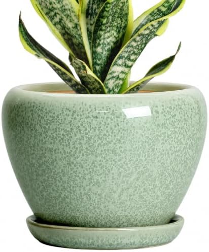 Ceramic Plant Pots 6 Inch, Ceramic Planter with Drainage, Green by Thirtypot
