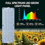 6-Pack Grow Lights for Indoor Plants, Full Spectrum LED with Timer - Image 3