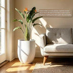 Kante Large Round Bullet White Concrete Planter 21.7" Tall, Outdoor - Image 2