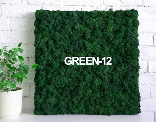 Preserved Reindeer Moss Natural Green DIY Kit Gardenning Art Wall Decor Florist Decor Easter Table Decor Wedding - Image 6