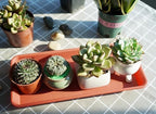 VUWEZ 2 Pack of Plastic Plant Tray Saucer Rectangular 20 21 inch, Planter Trays Saucers for Indoors Outdoor, Plant Water Drip Tray for Flower Pot Planter, Windowsill Trays (8.5 X 21'', Terracotta) - Image 4