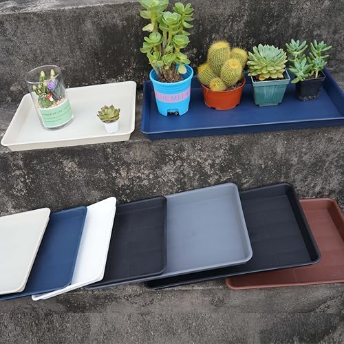 VUWEZ 2 Pack Plant Growing Nursery 1020 Trays, Plant Saucer Tray, Heavy Sturdy Seed Starting Trays, Plant Starter Trays for Indoors No Holes, Seed Starter Growing Tray (22"x11.2", Gray) - Image 3