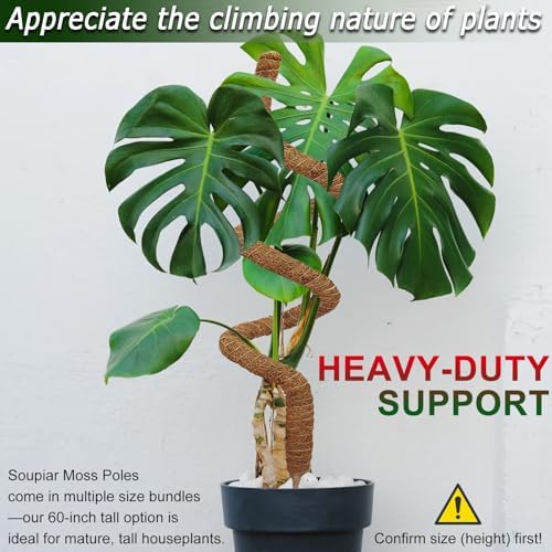 Soupiar 2 Pack 60'' Bendable Moss Pole for Monstera & Pothos - Tall Handmade Coco Coir Plant Support Stakes for Large Climbing Indoor Plants, Potted Houseplant Trellis Accessories - Image 3