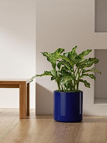 LE TAUCI 12 Inch Pot for Plants, Ceramic Indoor Planter, Midnight Blue - Image 6