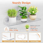 Lifewit Window Plant Shelves 14.6", 4 Pack Acrylic Suction Cup Holder - Image 4