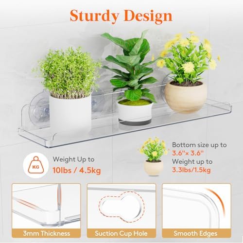 Lifewit Window Plant Shelves 14.6", 4 Pack Acrylic Suction Cup Holder - Image 4