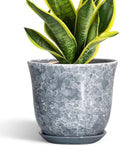 Ceramic Plant Pots, 8 Inch Plant Pot with Drainage, Grey by SUNPOTFOR