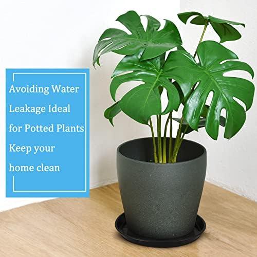 Eccliy 6 Pack Plastic Plant Saucer, Round, 16 Inch, Black - Image 6