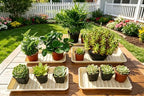 4 Pack Rectangular Plant Saucer 16 Inch, Heavy Duty Plastic Drip Trays for Pots, Windowsill Planter, Indoor Outdoor, 7.0 x 16.1 Inches, Beige - Image 7