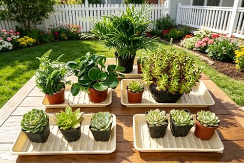 4 Pack Rectangular Plant Saucer 16 Inch, Heavy Duty Plastic Drip Trays for Pots, Windowsill Planter, Indoor Outdoor, 7.0 x 16.1 Inches, Beige - Image 7