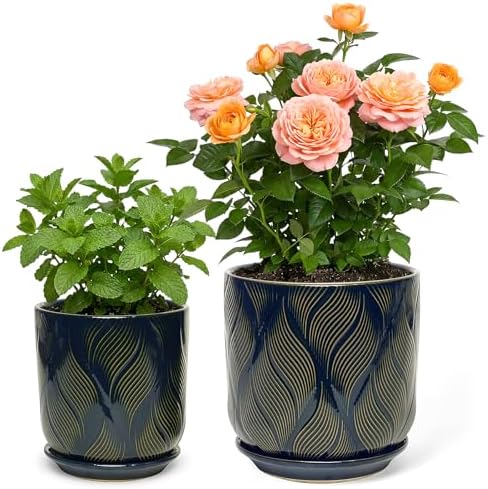 Ceramic Glaze Plant Pot Set 7.2+5.8 Inch Planter with Drainage Hole,Mesh Net,Saucer,for Indoor Outdoor(Leaf-Blue) by Unknown