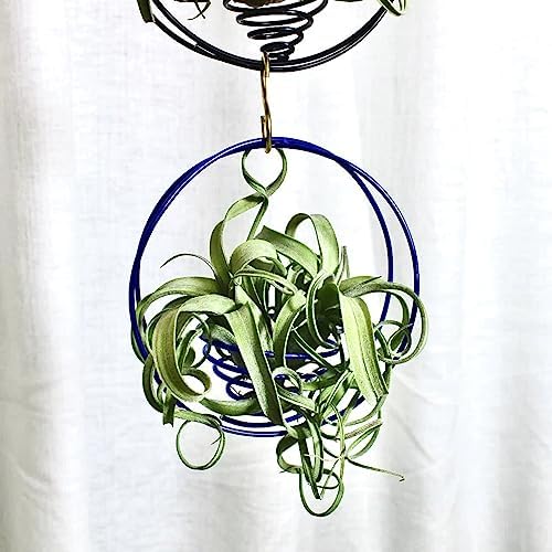 Air Plant Hanging Holder Planter - Plant Hanger Display Frame DIY Kit Aluminum Wire Indoors Outdoors Plants Not Included (Purple) - Image 4