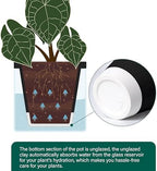 D'vine Dev Self-Watering Black Terracotta Planter Pot, 8 in, 37-X-C-3 - Image 6