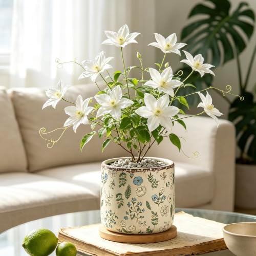 Ceramic Pots for Plants,6.3 Inch Cylinder Flower Pot with Drainage Hole, Rustic Decorative Plant Pot for Succulents, Flowers, Indoor Outdoor Garden Home Office Decor (Large) by Unknown