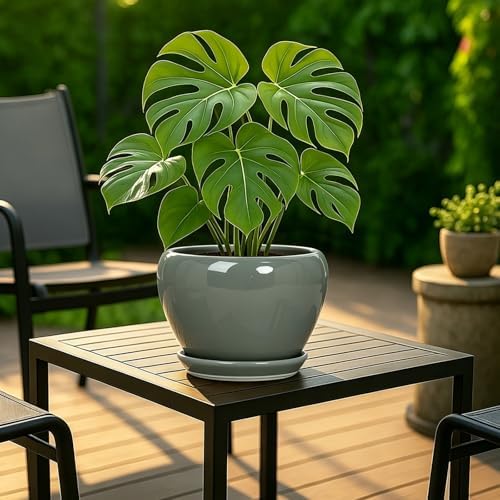 Deep Dream 8 Inch Plant Pots- Ceramic Pots for Plants with Drainage Hole and Saucer, Large Planter Pot for Indoor Plants Outdoor Decor, Grey - Image 2