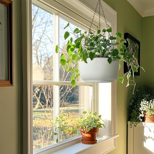 T4U Hanging Planters for Indoor Outdoor, 12 Inch Self Watering Pots, 2 Pack - Image 7