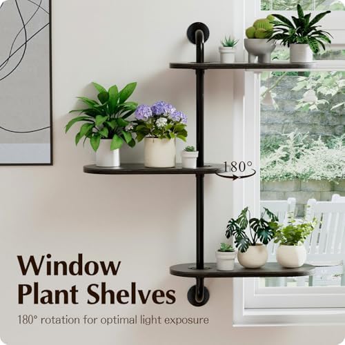 Rotating Window Plant Shelves 3-Tier, Wooden Window Shelf for Plants, Sill Space-Saving Corner Hanging Wall Stand for Multiple Plants, Indoor Home Decor, Black - Image 3