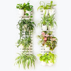 ShopLaLa Wooden Wall Hanging Planter - 2 Pack Wall Plants Holder for Flower Pot Indoor Outdoor Large Rustic White Wood Vertical Herb Garden System Boho Countryside Theme Decor 47.2" (120cm) by ShopLaLa