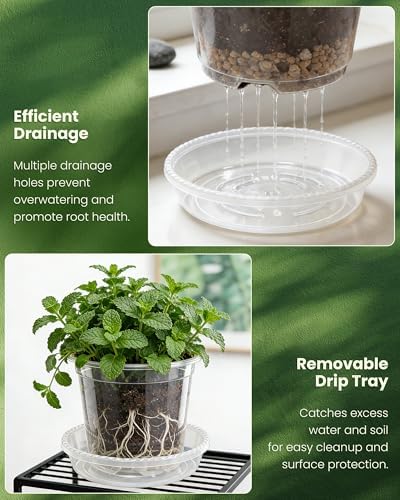 24 Pcs 7/6/5/4 In Clear Nursery Pots for Plants with Saucers, 24 Labels - Image 3