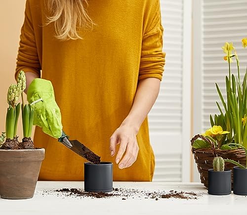 D'vine Dev 12-Pack Mini Black Plastic Planters with Saucers, 3 in, 74-Y-C-4 - Image 7