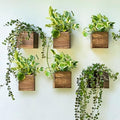 LaLaGreen Planter Boxes for Indoor Plant (4x4, 6 Pack) Wooden Wall Planters by L%C3%A1L%C3%A1Green