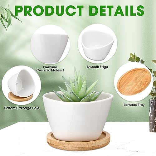 Domensi 24 Pack Small Succulent Pots, Mini Ceramic Succulent Planter, White - Image 3