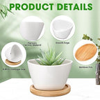Domensi 24 Pack Small Succulent Pots, Mini Ceramic Succulent Planter, White - Image 3