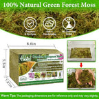 Halatool 3.3 LB Natural Green Forest Moss, Long Fiber Dried Sphagnum Moss - Image 2