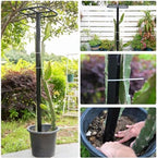 Yohsnor 2PCS 50" Metal Dragon Fruit Trellis,Durable Vertical Garden Support - Image 4