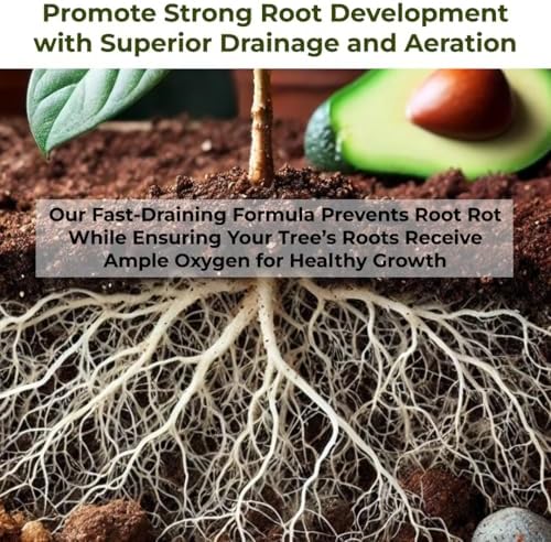 GARDENWISE Avocado Tree Soil – Premium Organic Potting Mix for Avocado Trees | Tailored pH & Organic Nutrients | Fast-Draining & Moisture-Retaining | Indoor & Outdoor Use (5 QUARTS) - Image 6