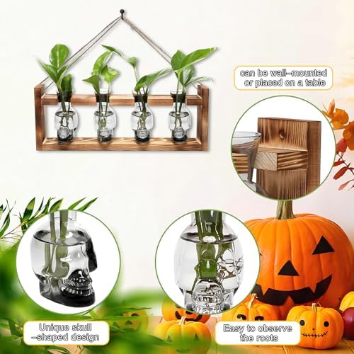 Plant Propagation Stations Halloween Skull Plant Terrarium Kit - Image 3