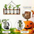 Plant Propagation Stations Halloween Skull Plant Terrarium Kit - Image 3