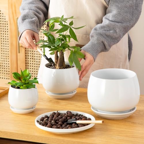 vancasso 3-Pack Ceramic Plant Pots, 3.7/4.8/6.2 Inch Indoor Planters with Saucers & Drainage Hole Planter pots for Indoor Plants and Flower, White - Image 4