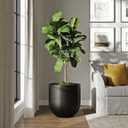 DTY Signature Mount Antero 19.7''D x 19.7''H Modern Indoor Outdoor Fiberstone Bullet Shaped Planter, Durable Round Garden Pot, Weather Resistant, Drainage Hole & Rubber Plug - Large, Black - Image 5