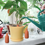 DoubleFill Ollas Terracotta Watering Pots, 18 oz, 6 Pcs - Image 5