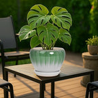 Deep Dream 8 Inch Plant Pots- Ceramic Pots for Plants with Drainage Hole and Saucer, Large Planter Pot for Indoor Plants Outdoor Decor, White&Green - Image 3
