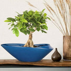 Bonsai Pot - 18 Inch Ceramic Planter for Indoor Outdoor Plants Bonsai Tree Pot Modern Large Succulent Planter Decorative Plant Pot with Drainage Hole Blue - Image 2