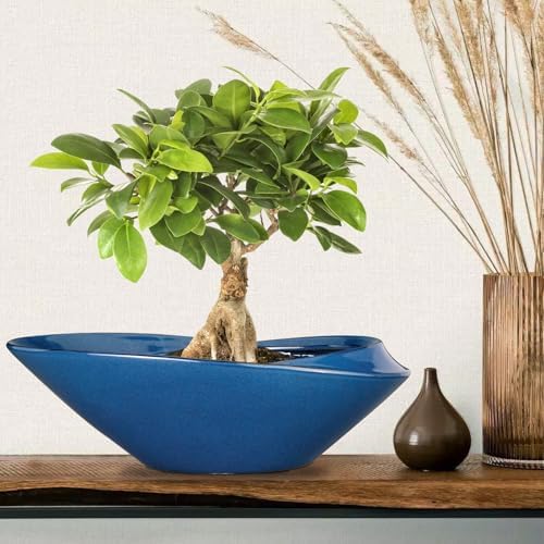 Bonsai Pot - 18 Inch Ceramic Planter for Indoor Outdoor Plants Bonsai Tree Pot Modern Large Succulent Planter Decorative Plant Pot with Drainage Hole Blue - Image 2