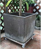 Heavy Duty Plant Caddy with Wheels, 330lb Bearing Capacity, Strong Metal Trolley with Industrial PU Casters, Aluminum Edge for Indoor and Outdoor Use - Image 4