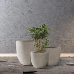 Kante Set of 3 Weathered Concrete Curved Planters 20" 16.5" 13.3" Dia - Image 7