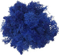 100g Artificial Moss for Crafts, Faux Decorative Plant for DIY Walls Wedding Party Table Centerpieces Home, Blue 1 by LKXHarleya