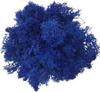 100g Artificial Moss for Crafts, Faux Decorative Plant for DIY Walls Wedding Party Table Centerpieces Home, Blue 1 by LKXHarleya