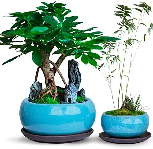 Dahlia Round Ceramic Succulent Pot/Bonsai Pot with Drainage Tray, 2pc Set Teal by Dahlia