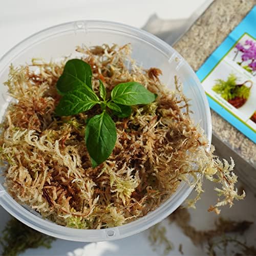 Sphagnum Moss 1.2 lb for DIY Moss Pole, Great Potting Mix for Indoor Plants, Help with Maintain Humidity - Image 5