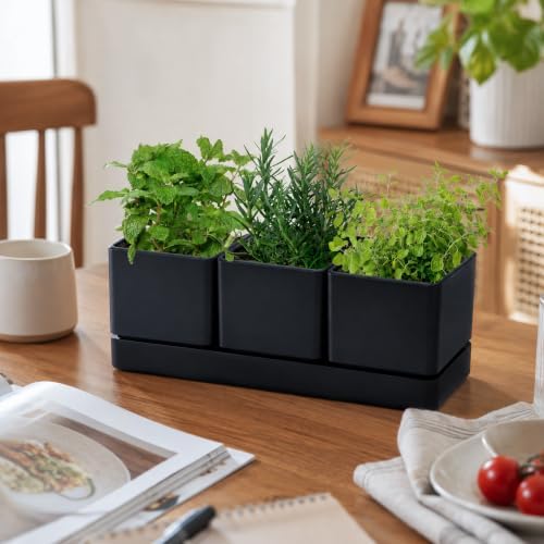 D'vine Dev 2-Pack Plastic Herb Garden Planter Set, Black, 76-V-B-2 - Image 2
